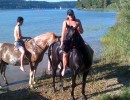 joli lac chevaux