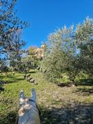 IMG-20240326-WA0035