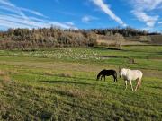 IMG-20240326-WA0036