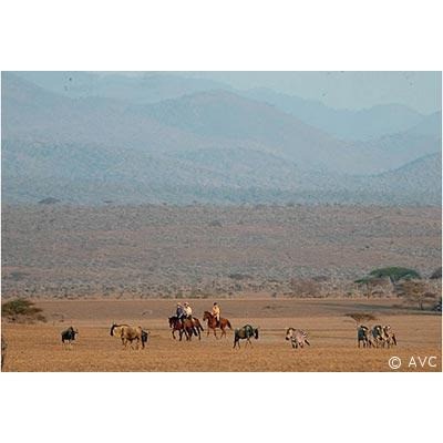 kenyaamboseli avc